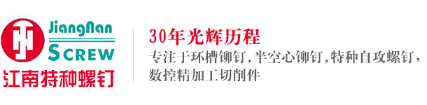 常州市武進(jìn)江南特種螺釘有限公司