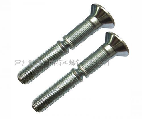 19MM沉頭環(huán)槽鉚釘，代號：24-12