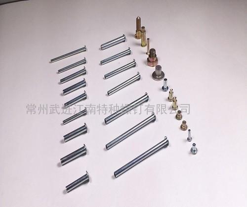 童車(chē)半空心鉚釘