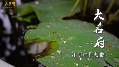 【大名府案例】江陰中科藍(lán)郡安裝簡約風(fēng)全觀光電梯E19型