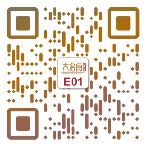 簡約風別墅電梯E01