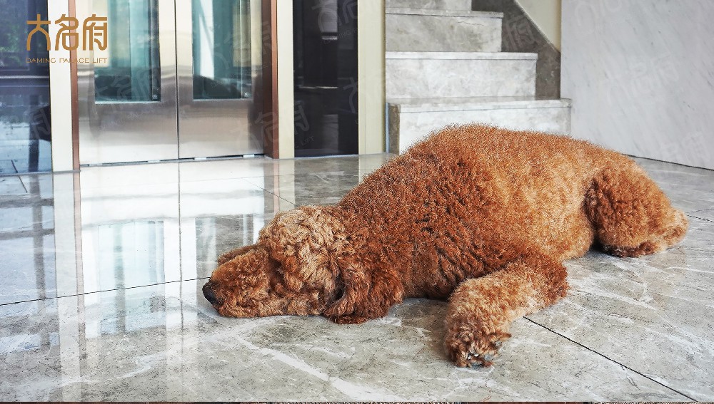 別墅家用電梯多少錢