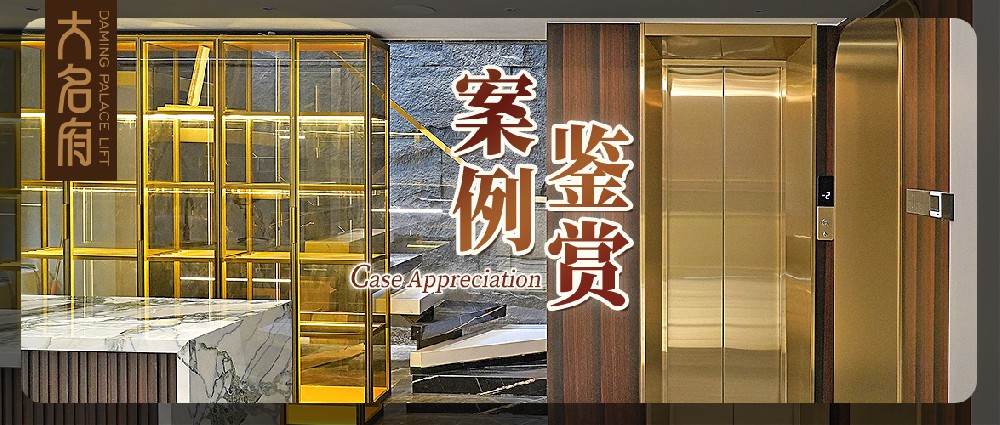 大名府家用電梯案例鑒賞 | 潮流與優(yōu)雅的融合，譜寫浪漫生活樂(lè)章