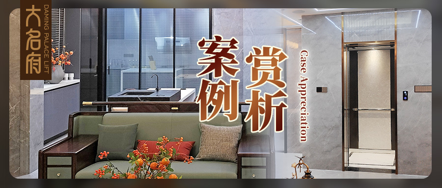 大名府家用電梯 | 細(xì)心鐫刻，1㎡盡顯全屋動(dòng)容時(shí)光