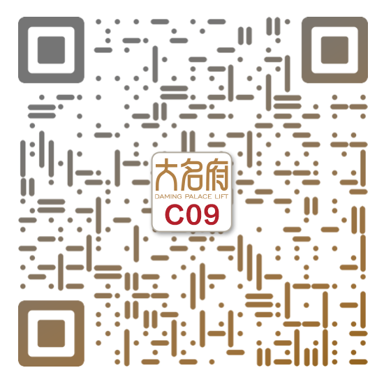 現(xiàn)代風(fēng)風(fēng)格別墅電梯C09