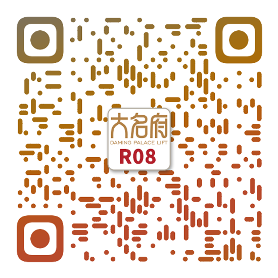 簡約風(fēng)別墅電梯R08