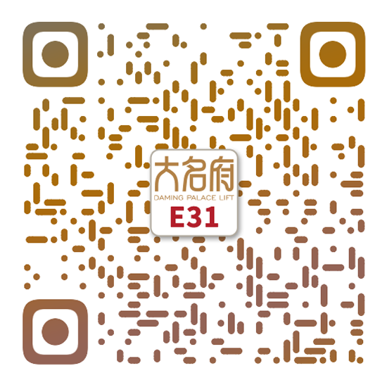 簡(jiǎn)約風(fēng)別墅電梯E31