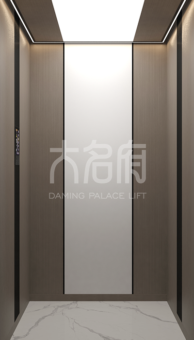 簡約風(fēng)別墅電梯R08